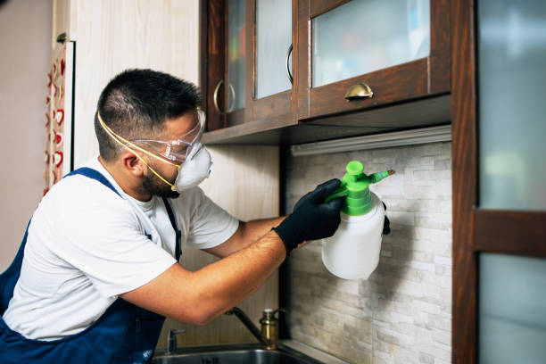 Best Pest Control Near Me  in Mill Valley, CA