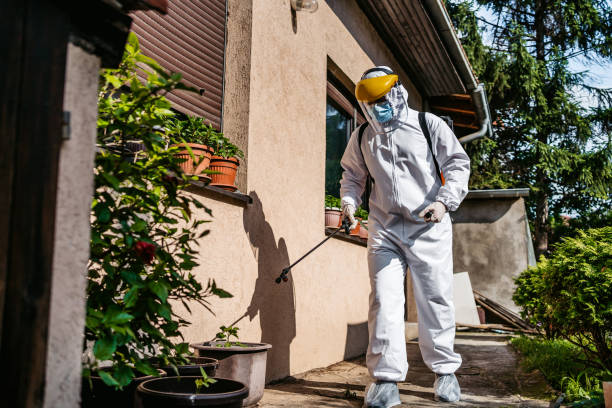 Pest Prevention Services in Mill Valley, CA