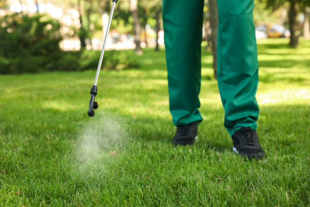 Best Pest Prevention Services  in Mill Valley, CA