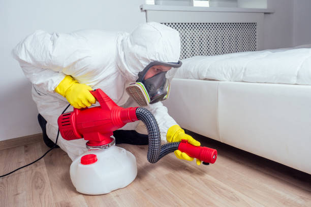 Best Best Pest Control Near Me  in Mill Valley, CA