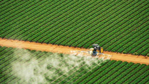 Pest Control Cost in Mill Valley, CA