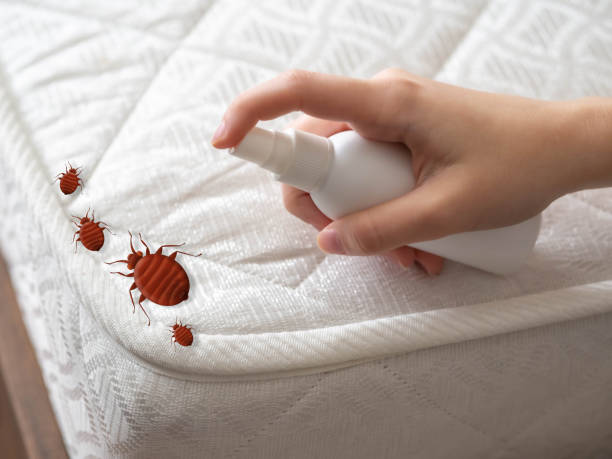 Mill Valley, CA Pest Control Company