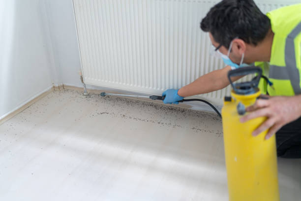 Best Emergency Pest Control  in Mill Valley, CA