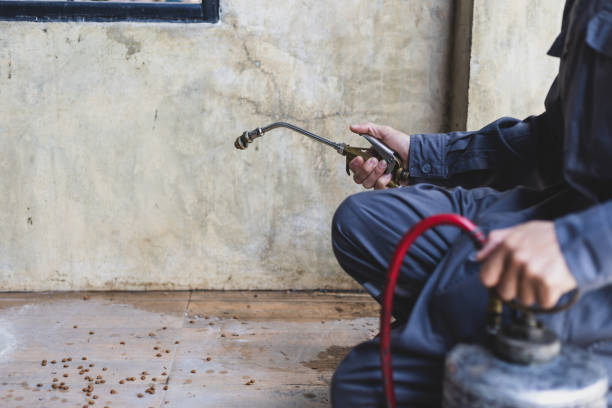 Best Wasp Removal Services  in Mill Valley, CA